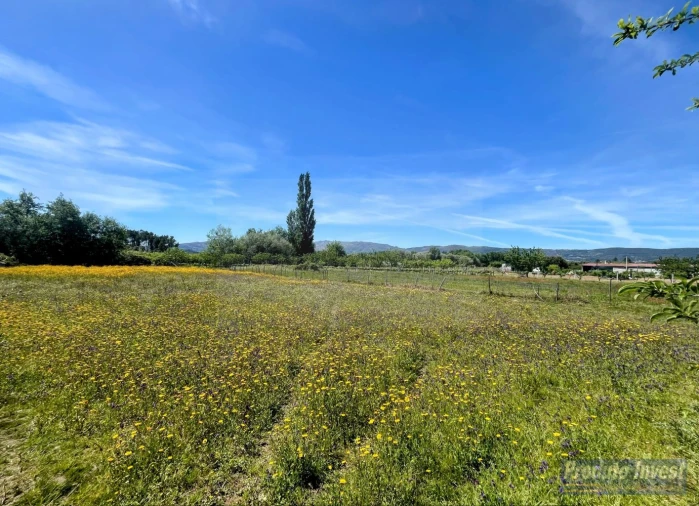 Terreno para Venda em Póvoa de Atalaia e Atalaia do Campo Foto 14