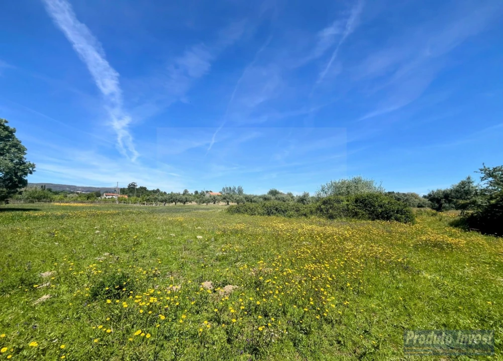 Terreno para Venda em Póvoa de Atalaia e Atalaia do Campo Foto 2