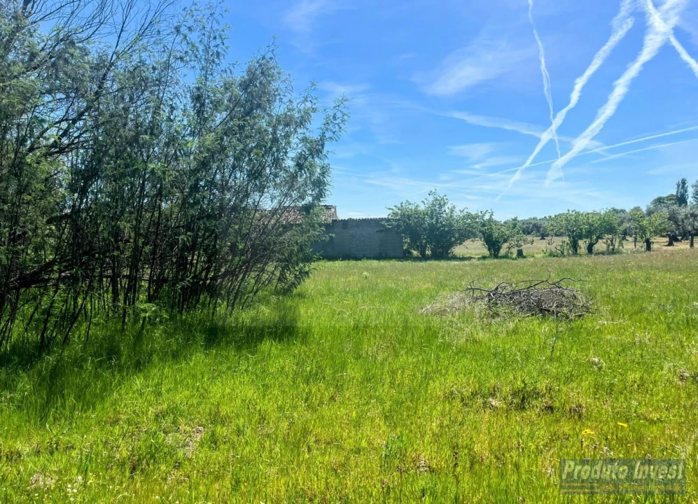 Terreno para Venda em Póvoa de Atalaia e Atalaia do Campo Foto 11