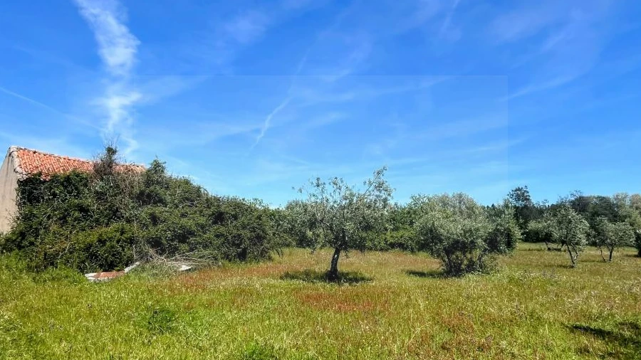 Terreno para Venda em Póvoa de Atalaia e Atalaia do Campo