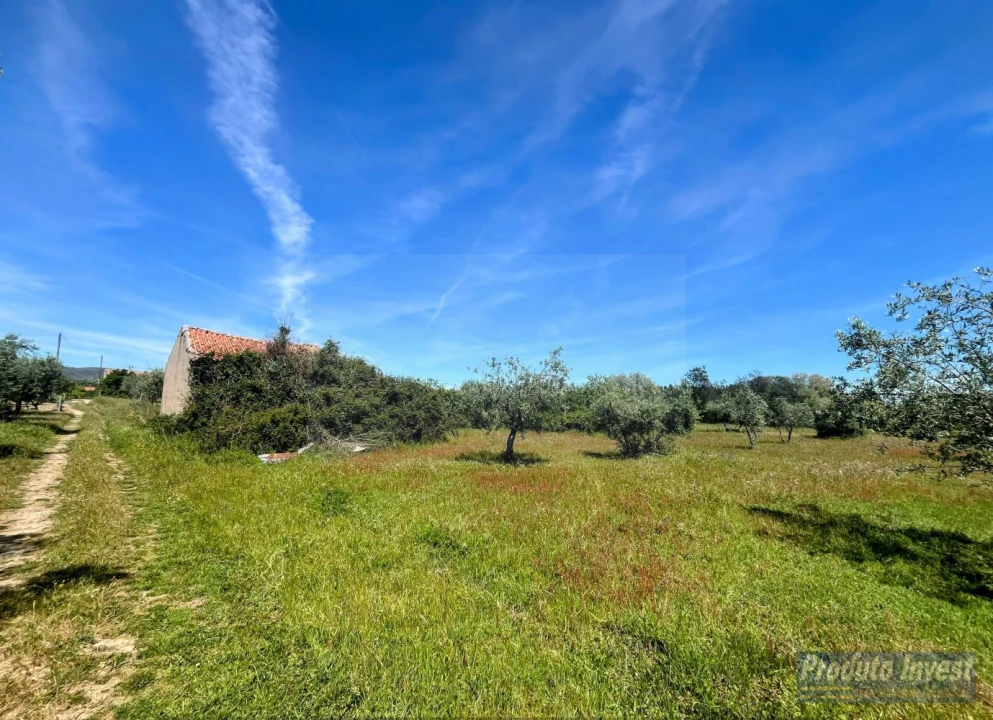 Terreno para Venda em Póvoa de Atalaia e Atalaia do Campo Foto 1