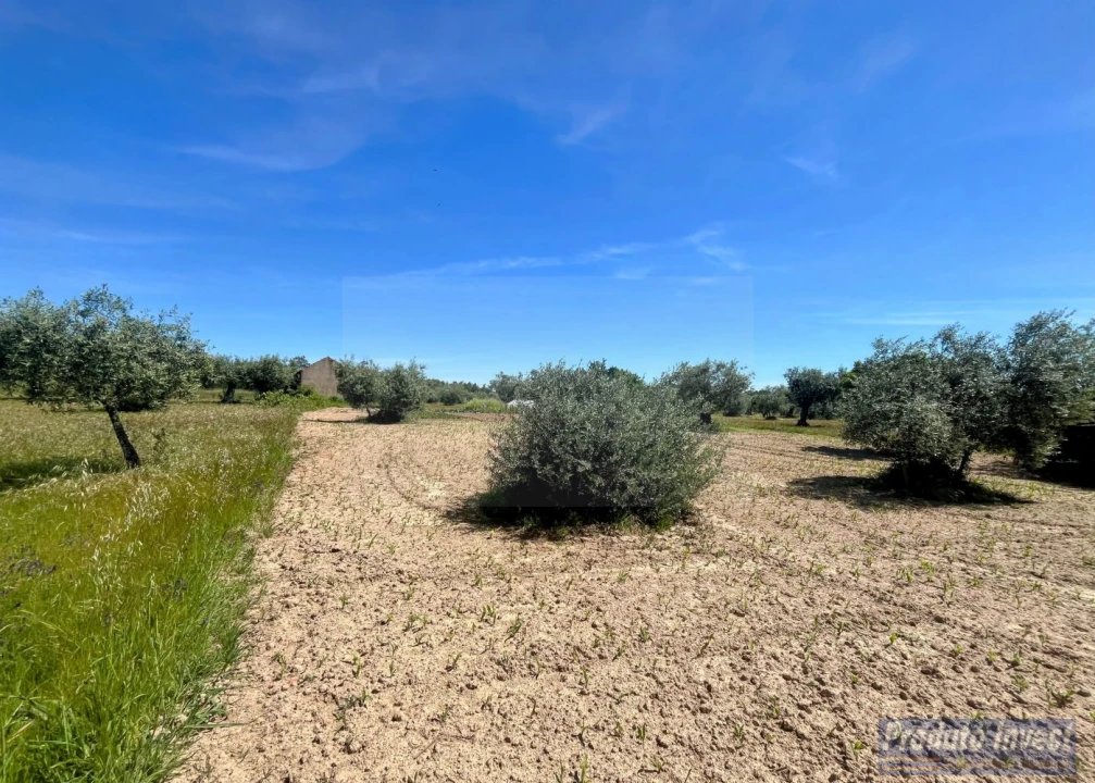 Terreno para Venda em Póvoa de Atalaia e Atalaia do Campo Foto 6
