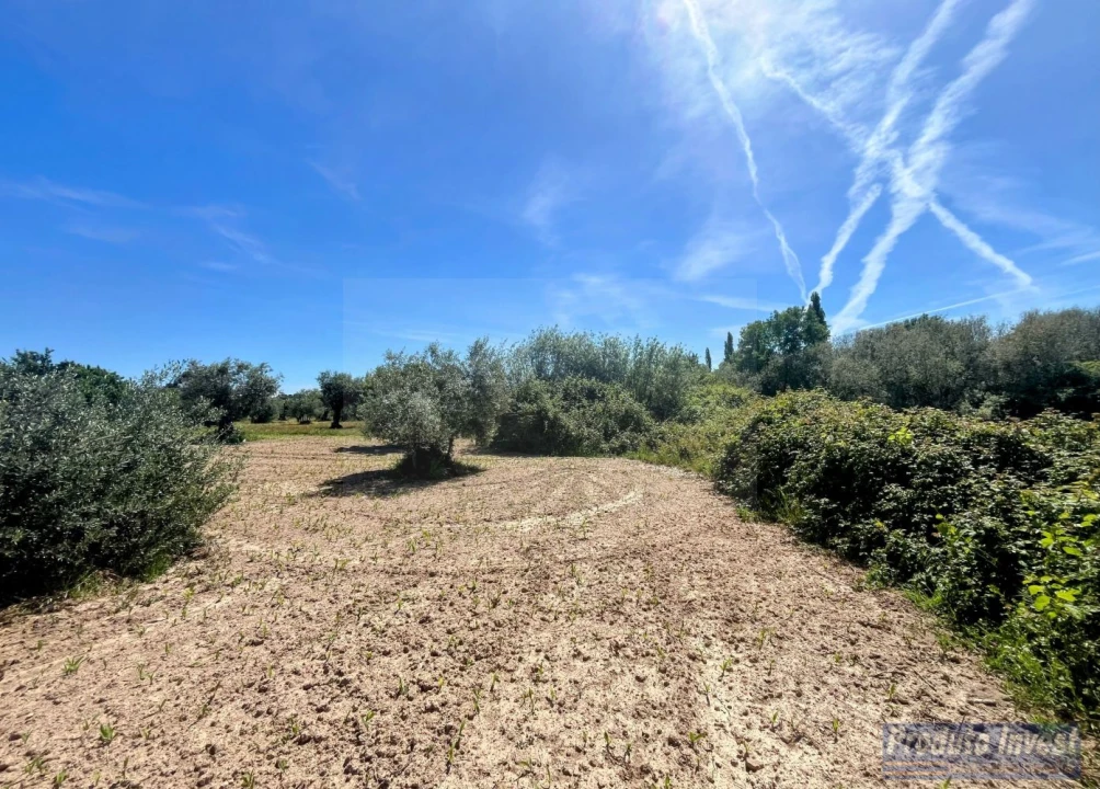 Terreno para Venda em Póvoa de Atalaia e Atalaia do Campo Foto 13