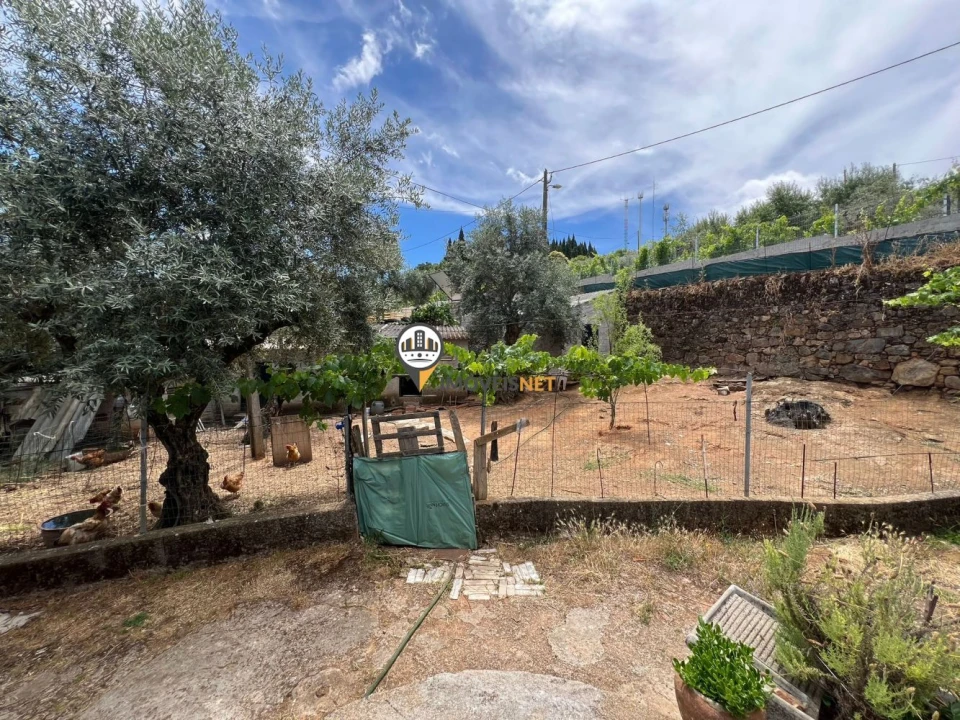 Quinta T0 para Venda em Castelo Branco Foto 39