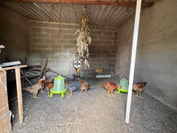 Quinta T0 para Venda em Castelo Branco
