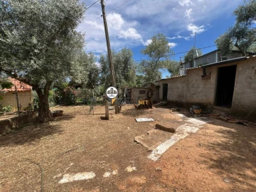 Quinta T0 para Venda em Castelo Branco