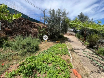 Quinta T0 para Venda em Castelo Branco