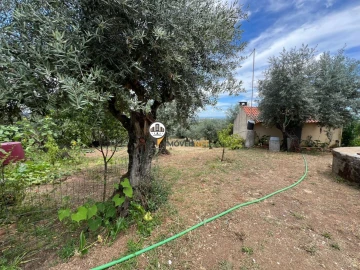 Quinta T0 para Venda em Castelo Branco