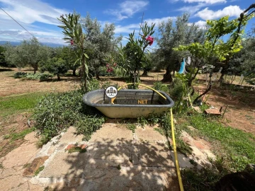 Quinta T0 para Venda em Castelo Branco