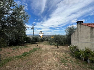 Quinta T0 para Venda em Castelo Branco