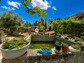 Quinta T0 para Venda em Castelo Branco