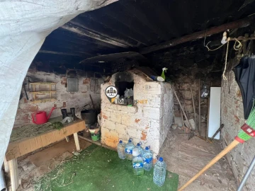 Quinta T0 para Venda em Castelo Branco