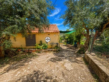 Quinta T0 para Venda em Castelo Branco