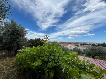 Quinta T0 para Venda em Castelo Branco