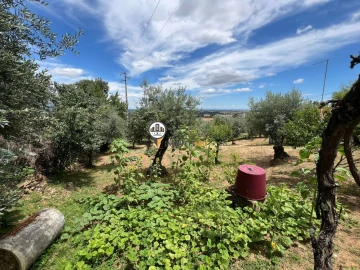 Quinta T0 para Venda em Castelo Branco