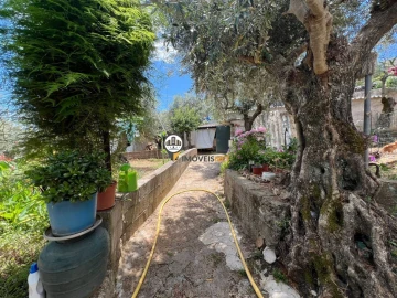 Quinta T0 para Venda em Castelo Branco