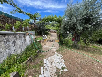 Quinta T0 para Venda em Castelo Branco