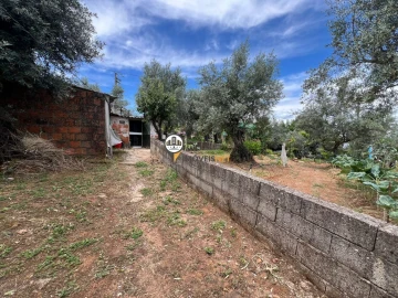 Quinta T0 para Venda em Castelo Branco