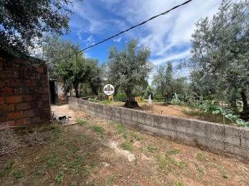 Quinta T0 para Venda em Castelo Branco
