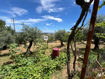 Quinta T0 para Venda em Castelo Branco