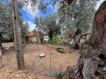 Quinta T0 para Venda em Castelo Branco