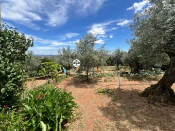 Quinta T0 para Venda em Castelo Branco