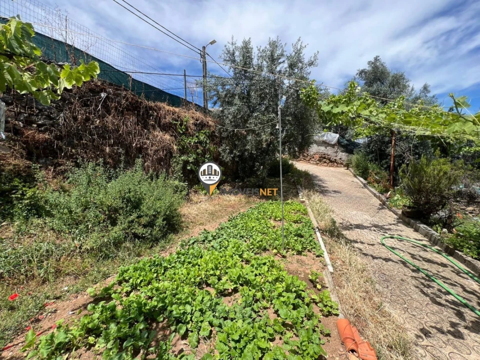 Quinta T0 para Venda em Castelo Branco Foto 7