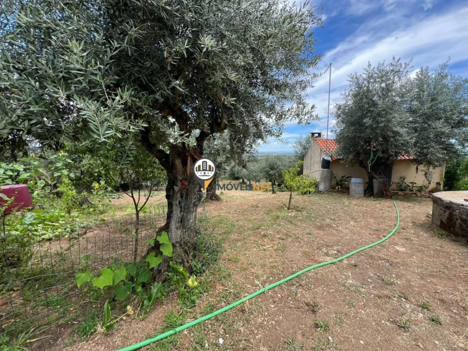 Quinta T0 para Venda em Castelo Branco Foto 41