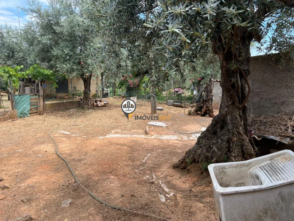 Quinta T0 para Venda em Castelo Branco Foto 32