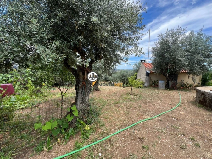 Quinta T0 para Venda em Castelo Branco Foto 41