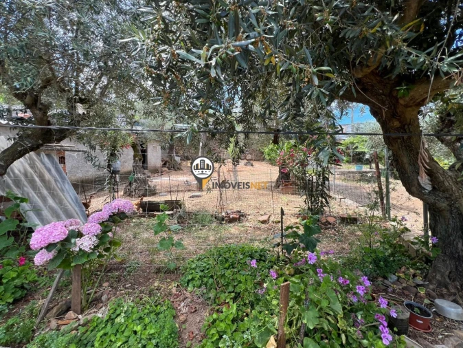 Quinta T0 para Venda em Castelo Branco Foto 17