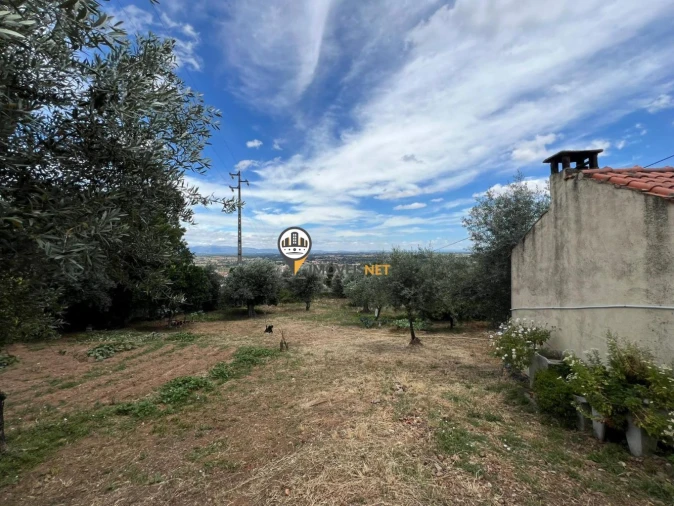 Quinta T0 para Venda em Castelo Branco Foto 27