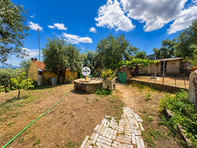 Quinta T0 para Venda em Castelo Branco Foto 3