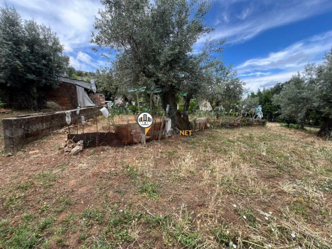 Quinta T0 para Venda em Castelo Branco Foto 42