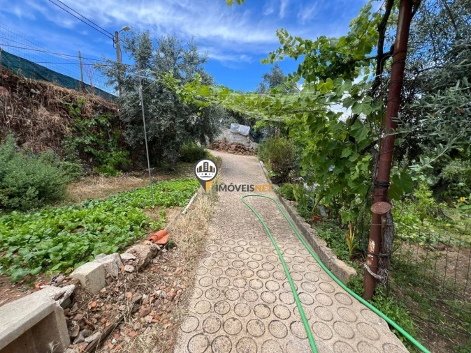Quinta T0 para Venda em Castelo Branco Foto 44