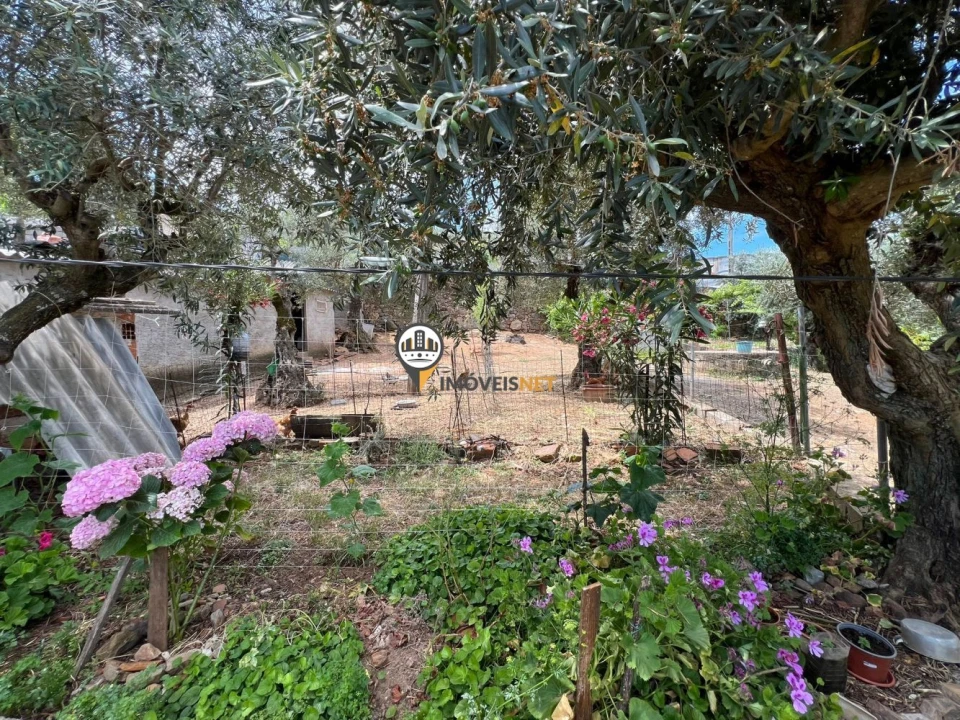 Quinta T0 para Venda em Castelo Branco Foto 17