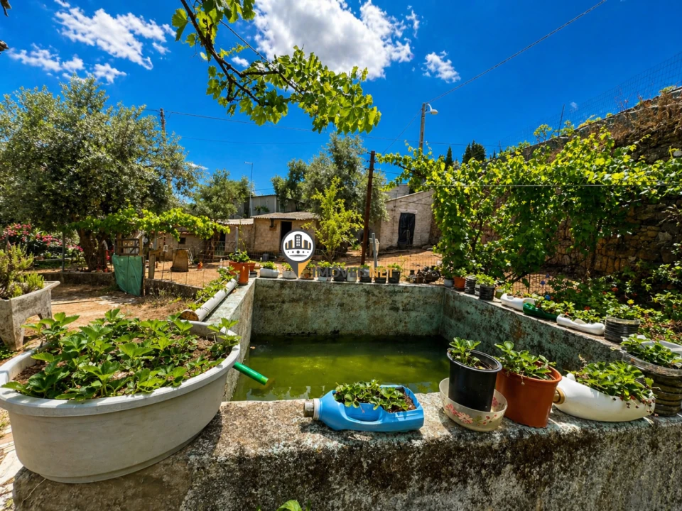 Quinta T0 para Venda em Castelo Branco Foto 4