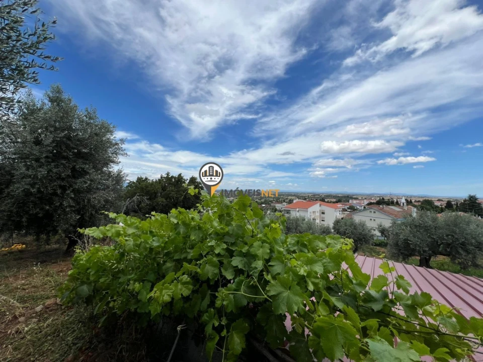 Quinta T0 para Venda em Castelo Branco Foto 43