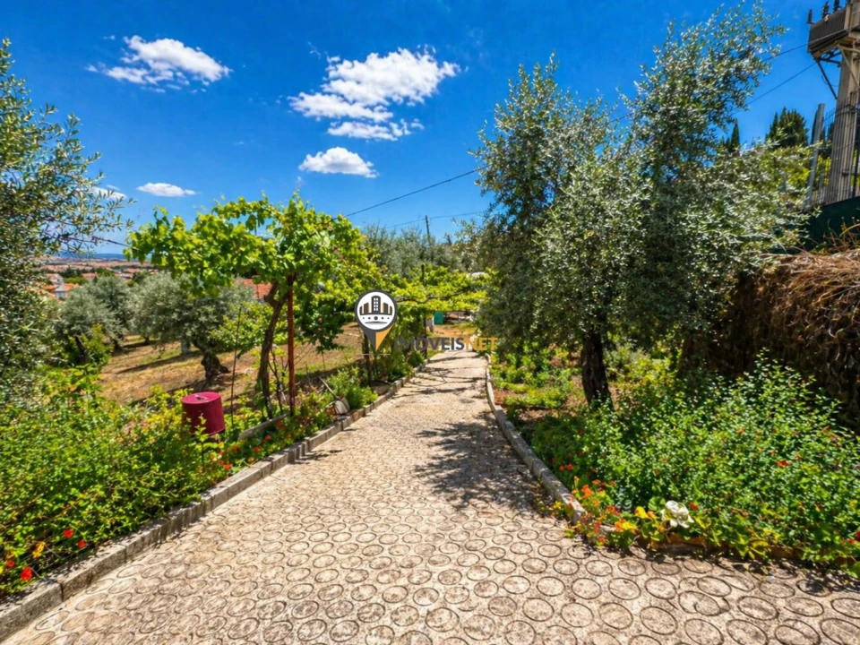Quinta T0 para Venda em Castelo Branco Foto 2