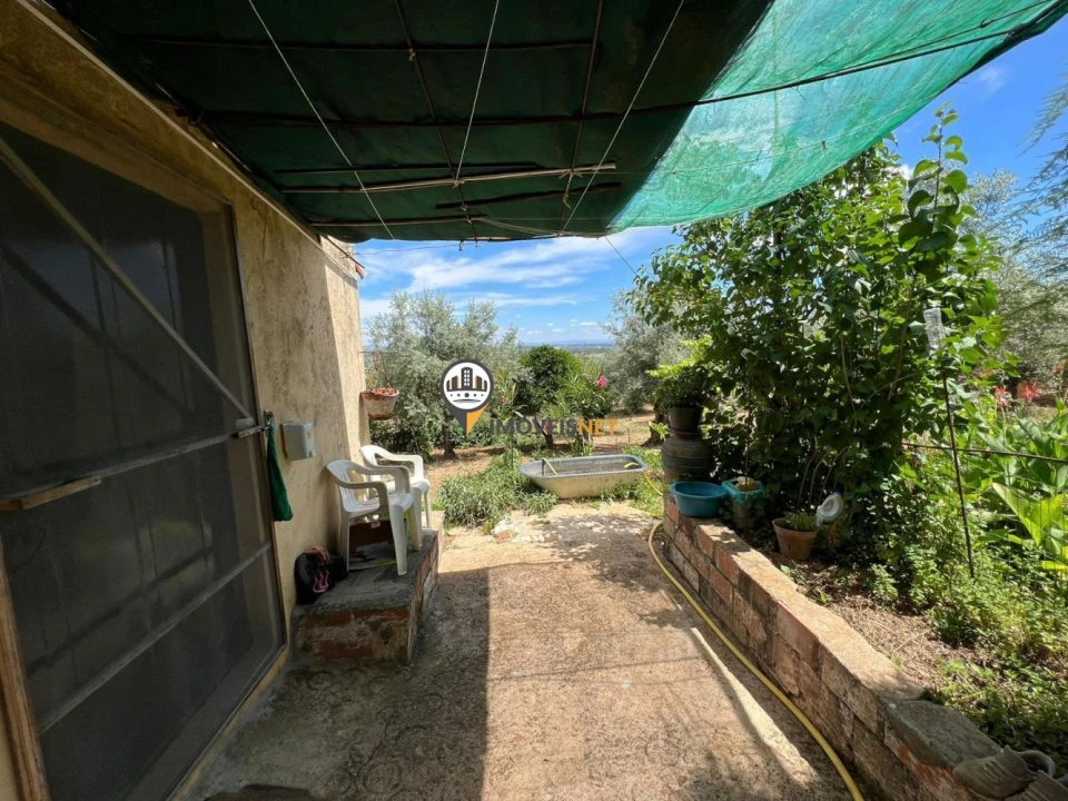 Quinta T0 para Venda em Castelo Branco Foto 10