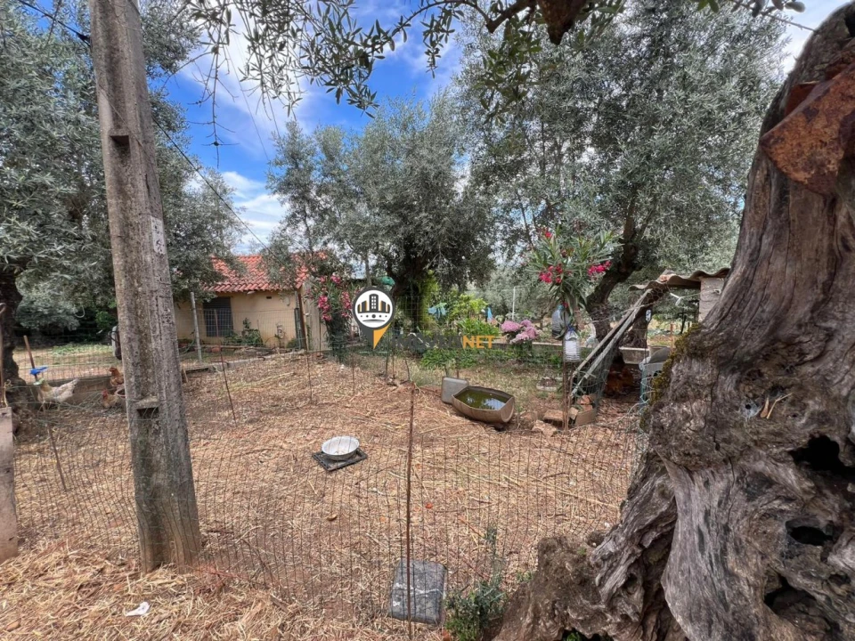 Quinta T0 para Venda em Castelo Branco Foto 31