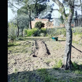 Quinta T2 para Venda em Povoa de Midões