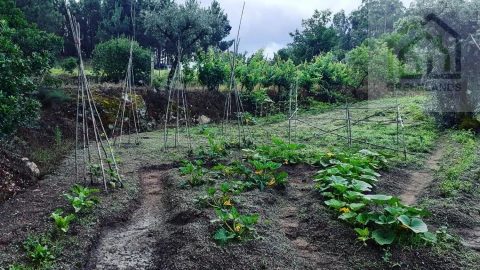 Quinta T2 para Venda em Povoa de Midões