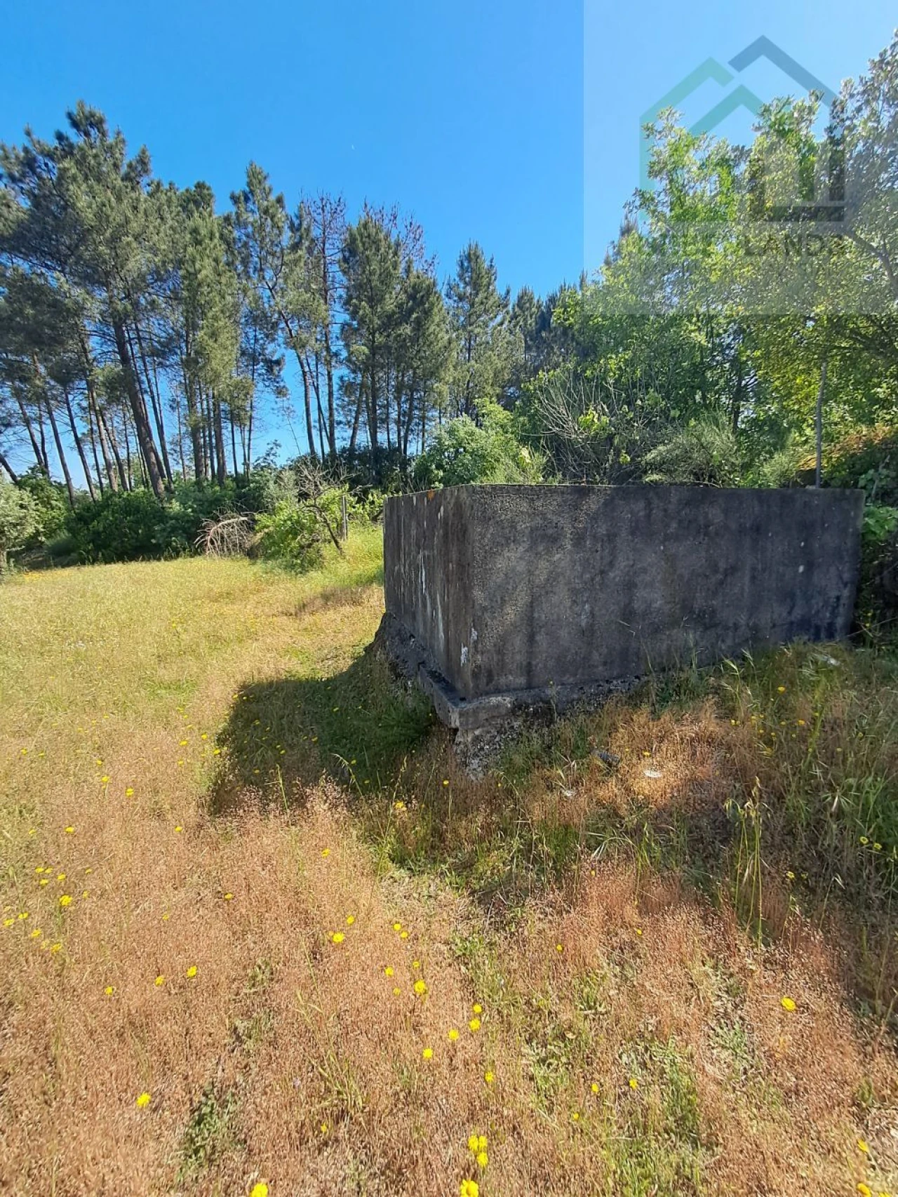 Quinta T2 para Venda em Povoa de Midões Foto 8