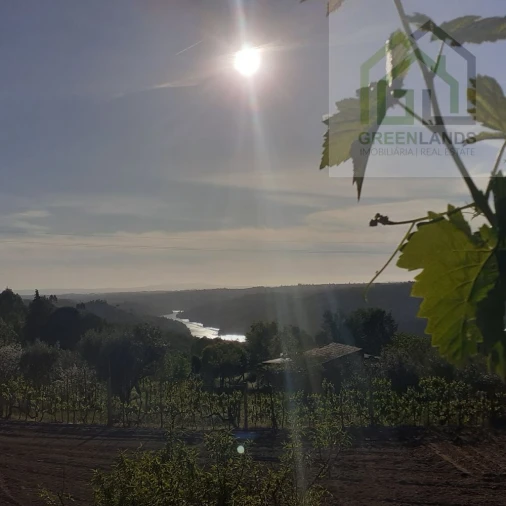 Quinta T2 para Venda em Povoa de Midões Foto 42