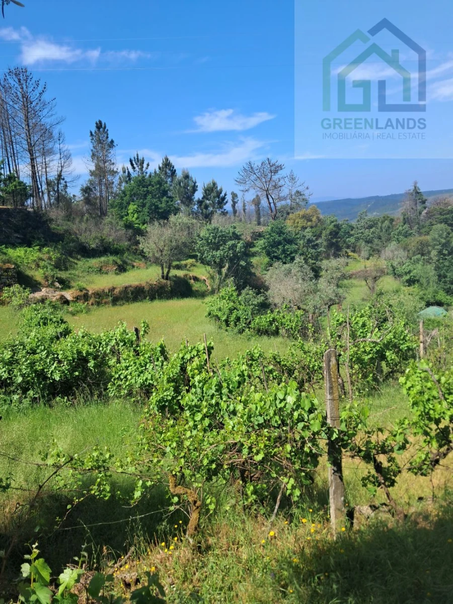Quinta T2 para Venda em Povoa de Midões Foto 30