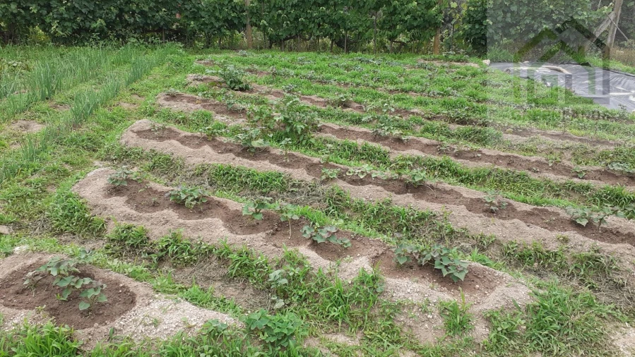 Quinta T2 para Venda em Povoa de Midões Foto 19