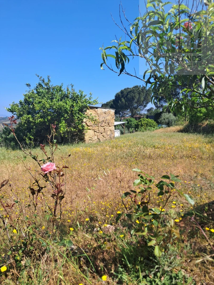 Quinta T2 para Venda em Povoa de Midões Foto 25