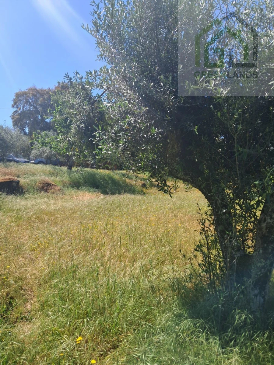 Quinta T2 para Venda em Povoa de Midões Foto 23