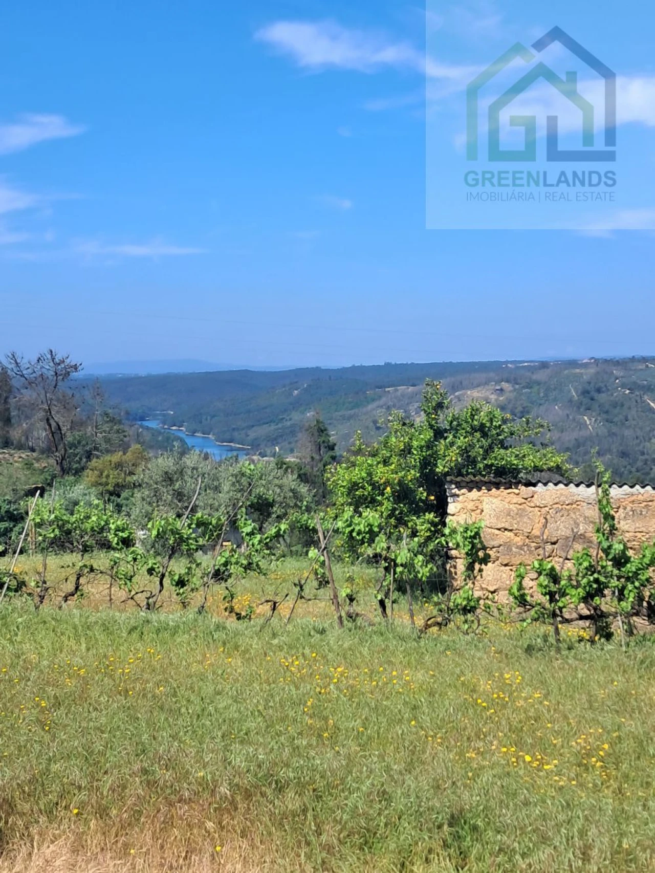 Quinta T2 para Venda em Povoa de Midões Foto 37